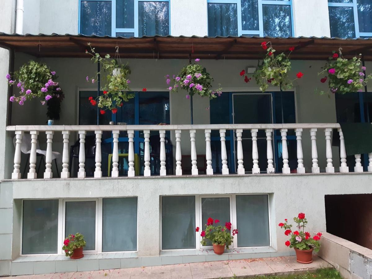 Casa Albastra Hotel Drumu Carului Kültér fotó