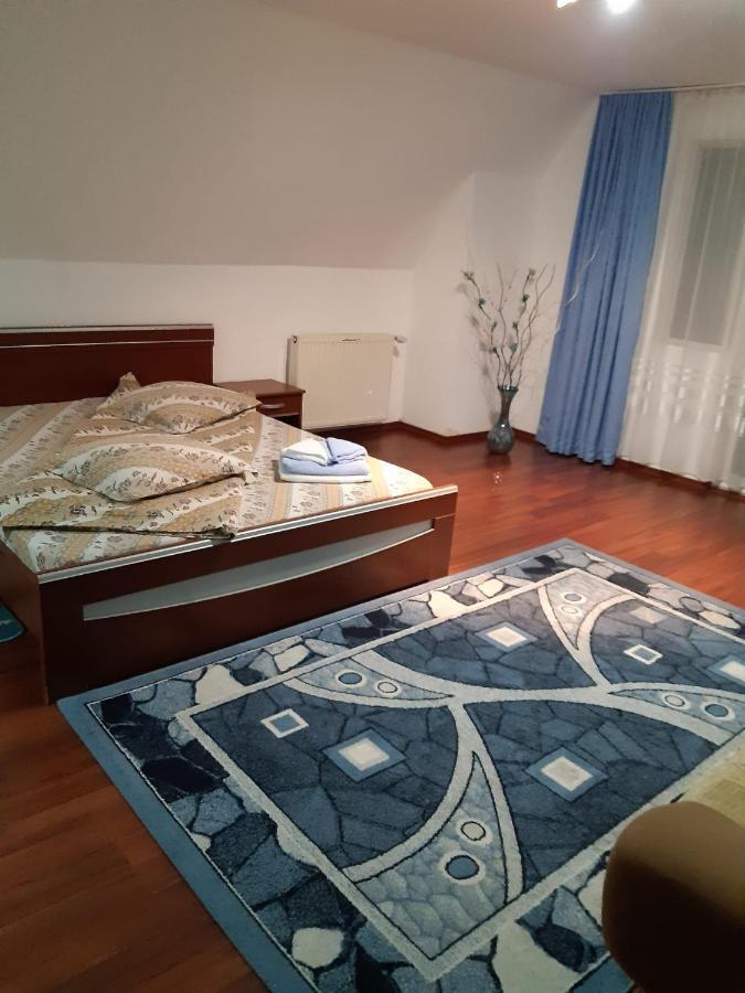 Casa Albastra Hotel Drumu Carului Kültér fotó