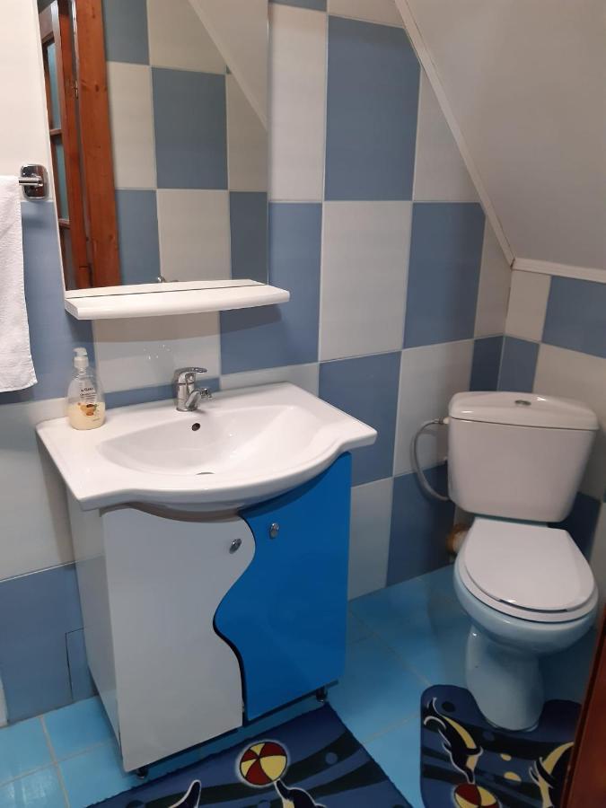 Casa Albastra Hotel Drumu Carului Kültér fotó