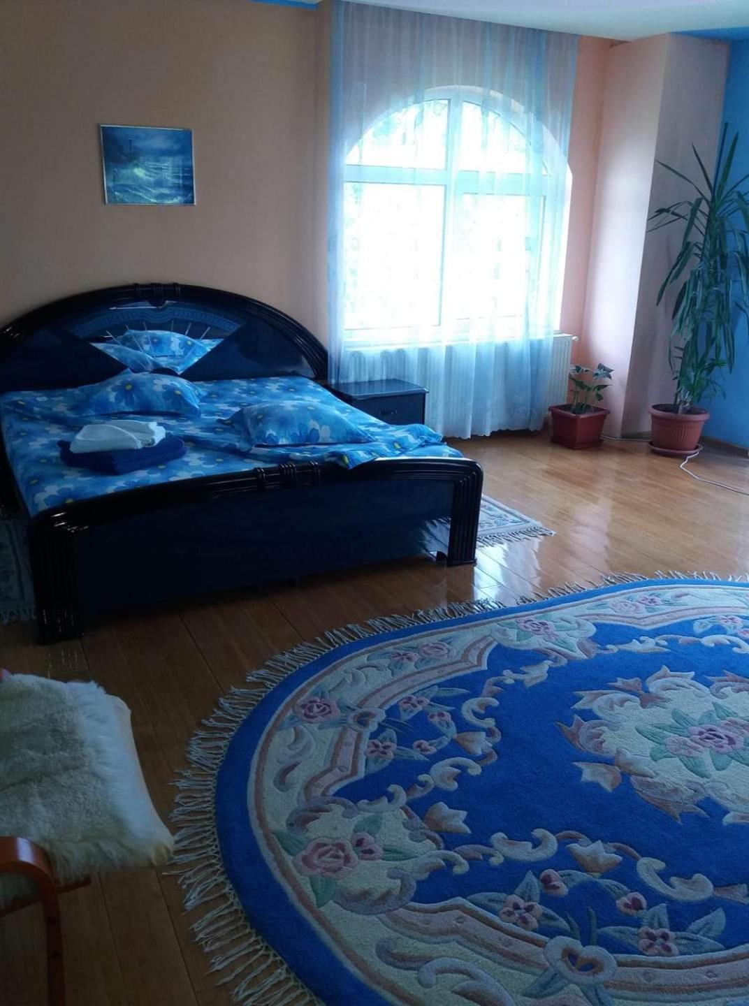 Casa Albastra Hotel Drumu Carului Szoba fotó